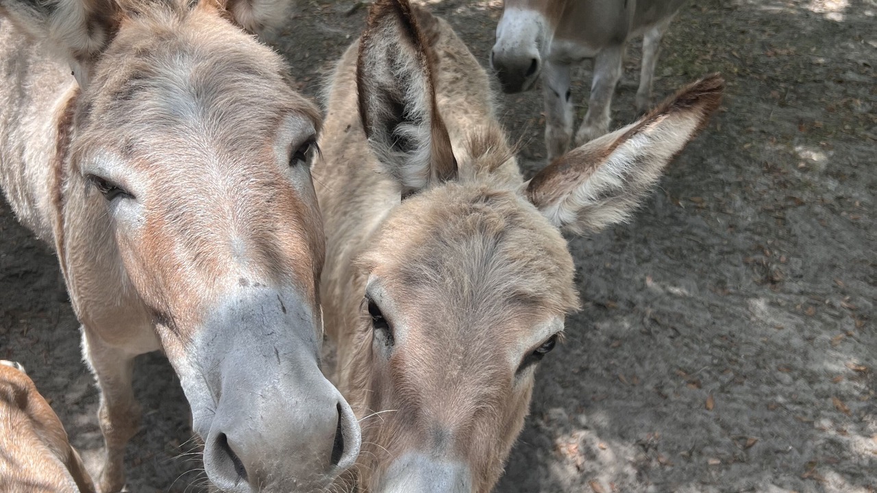 Photo of Others in La Crosse