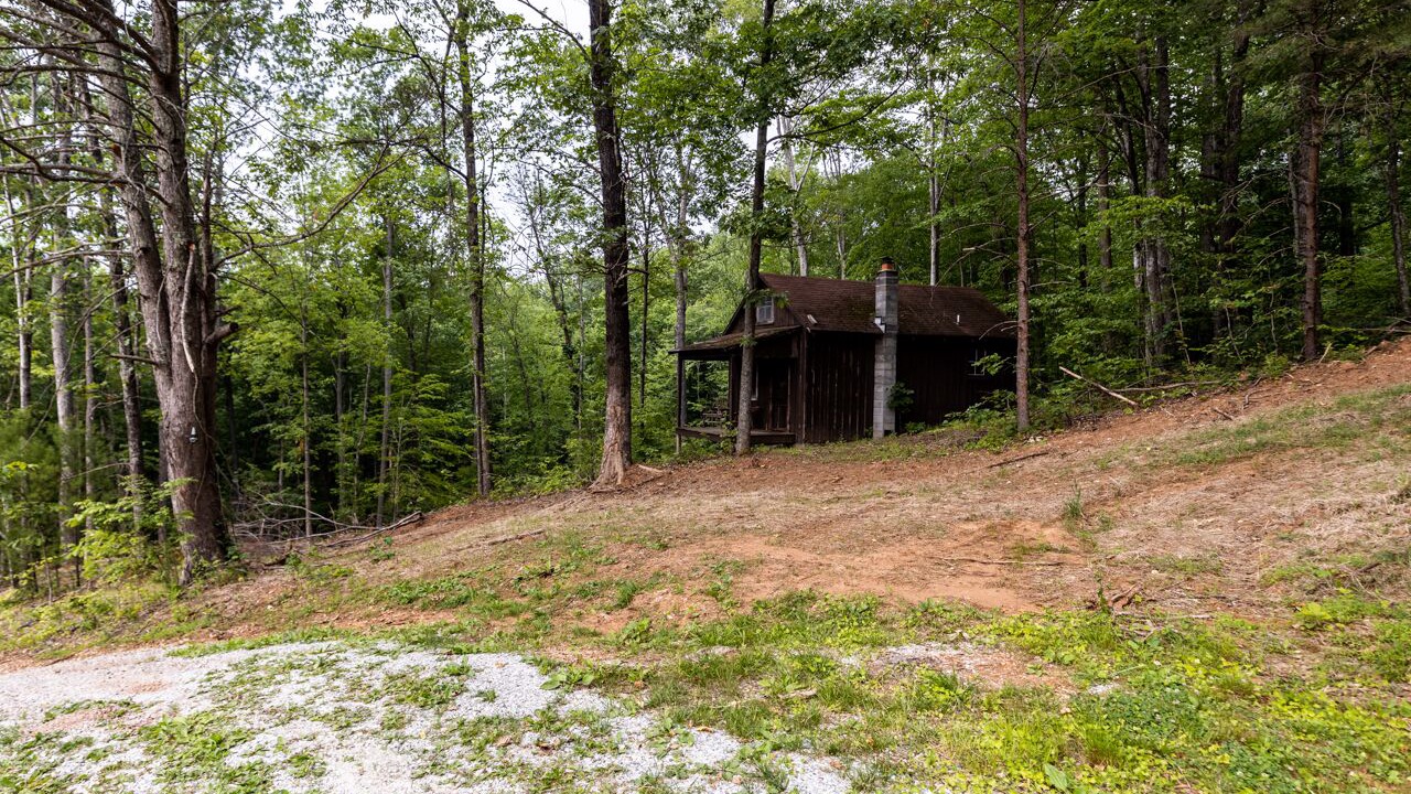 Photo of Outdoor in Roseland