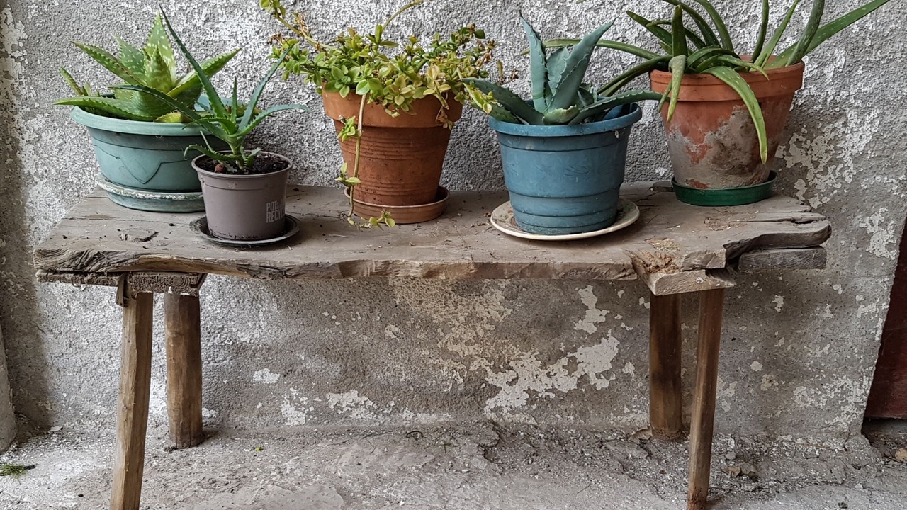 Photo of Outdoor in Aubin