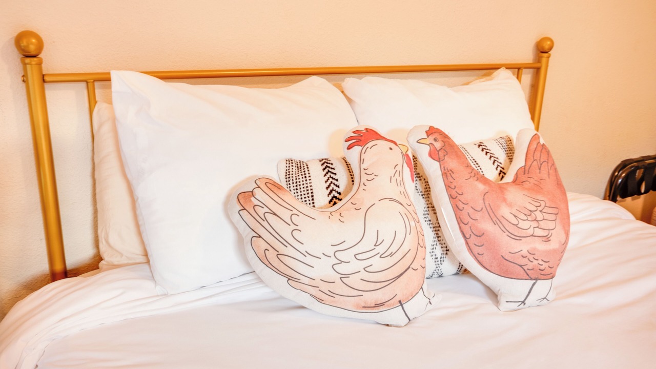 Photo of Bedroom in Dallas