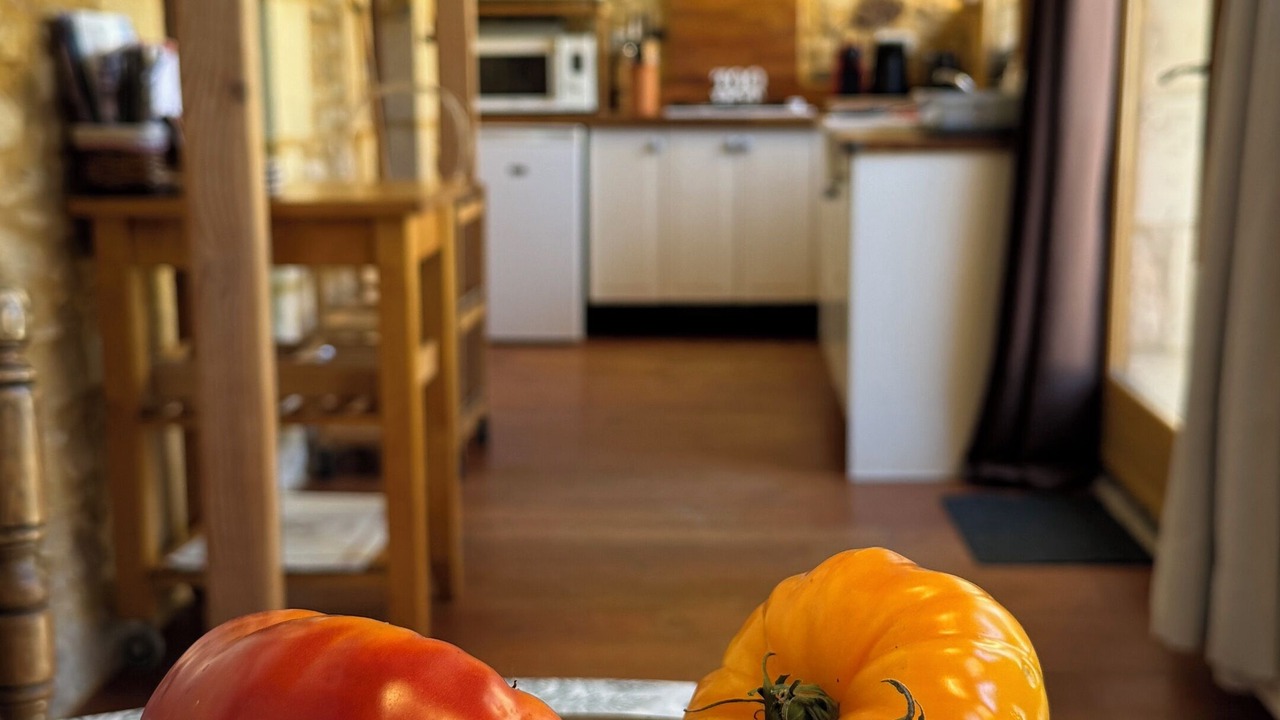 Photo of Kitchen in Frayssinet-le-Gelat