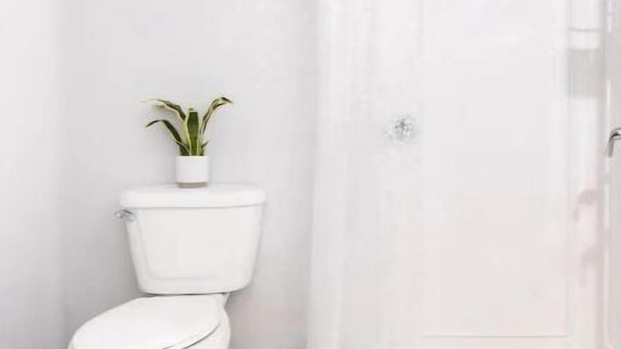 Photo of Bathroom in Brady