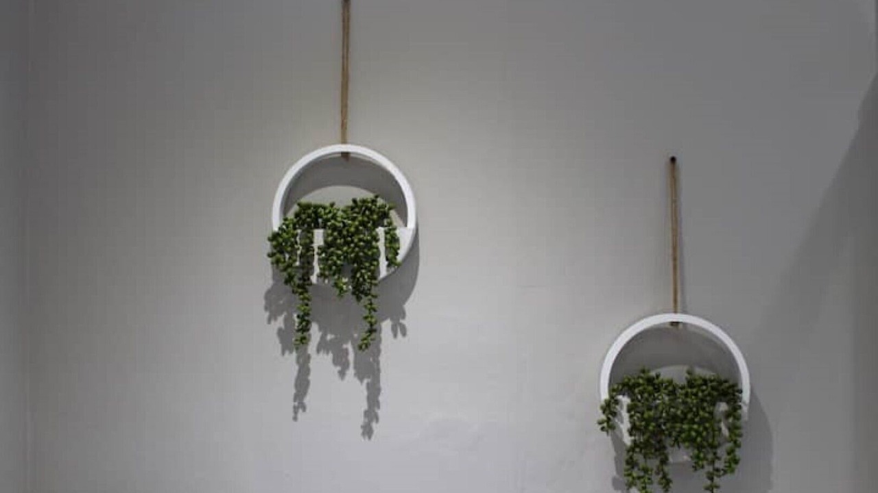 Photo of Others in Perth