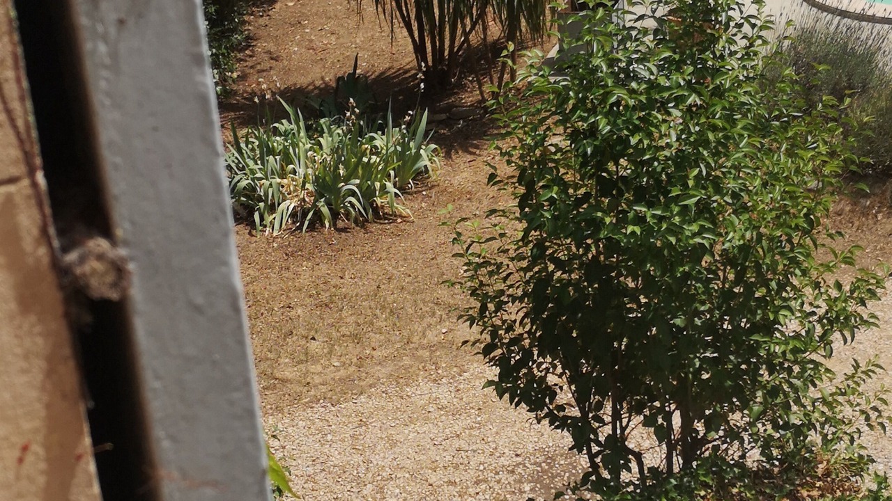 Photo of Outdoor in Sabran