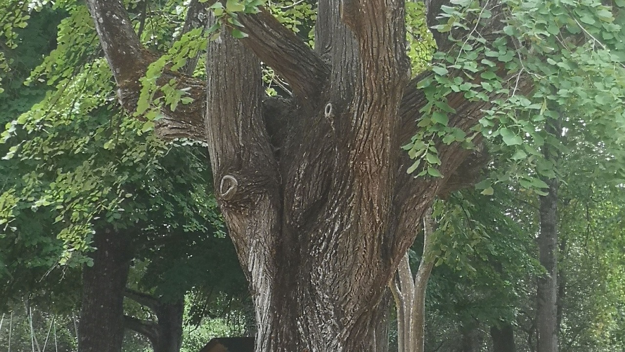 Photo of Outdoor in Sabran