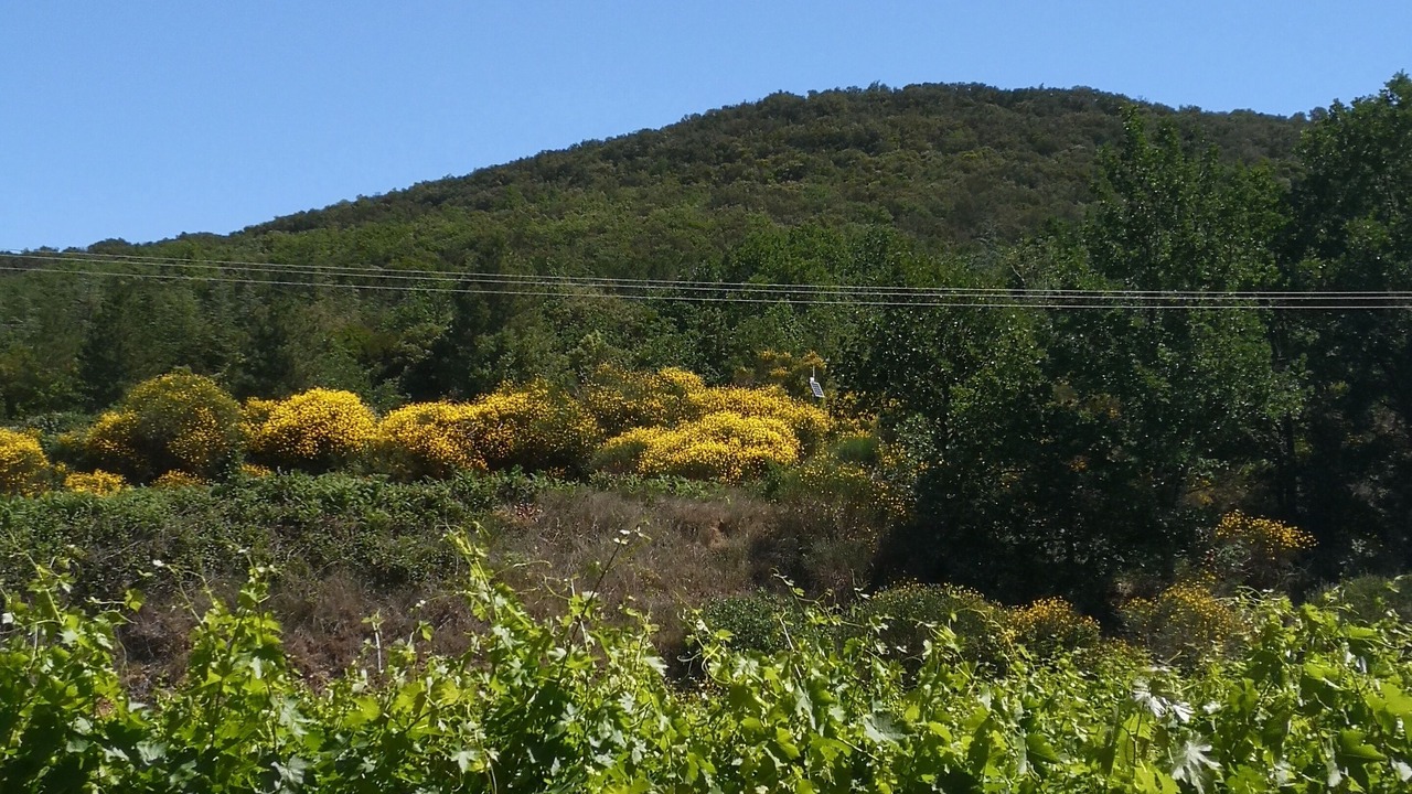 Photo of Outdoor in Sabran