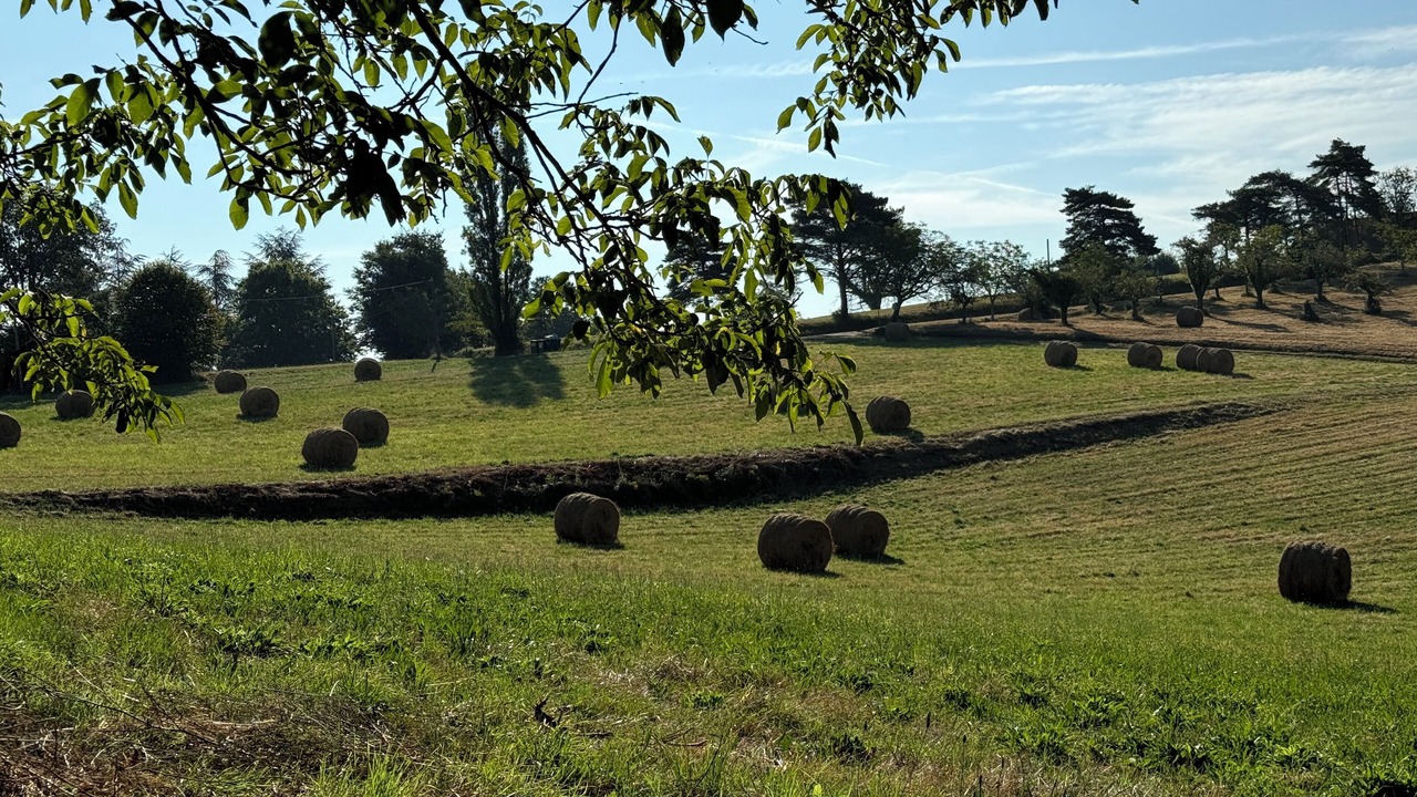 Photo of Others in Frayssinet-le-Gelat
