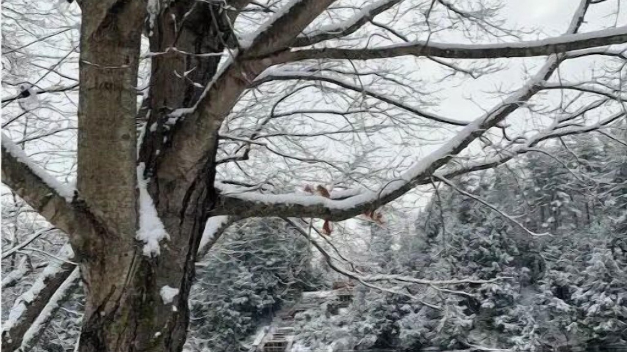 Photo of Outdoor in Lake Luzerne-Hadley