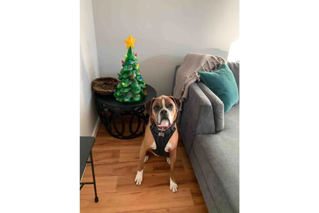 Photo of Others in Lake Luzerne-Hadley