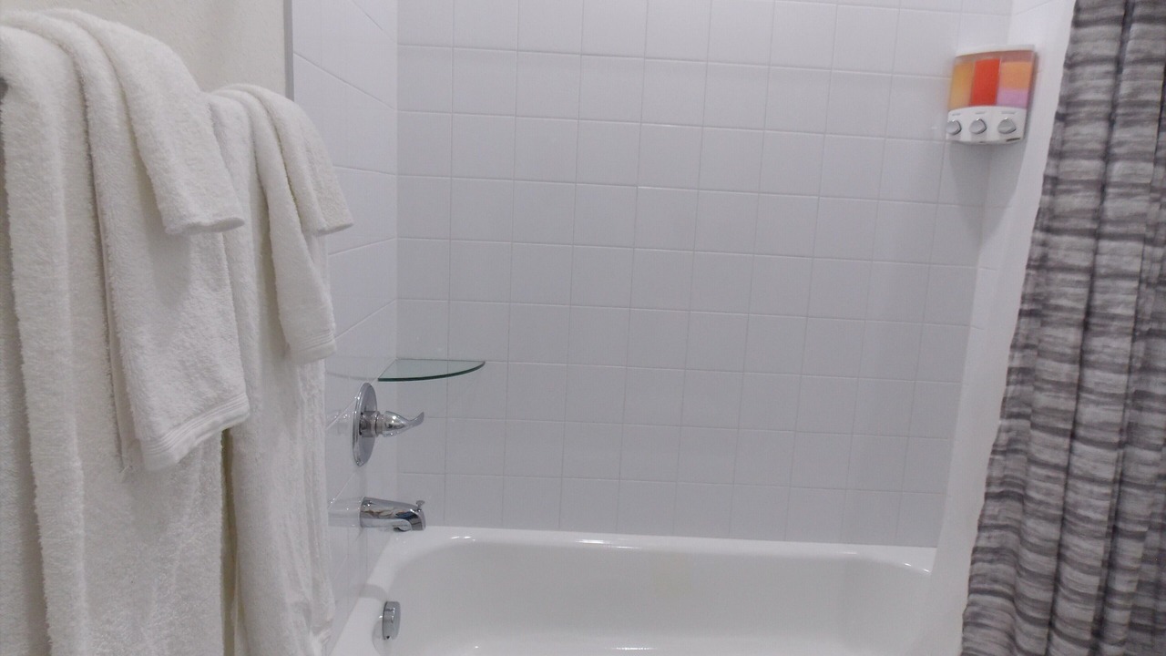 Photo of Bathroom in Bearss Plaza