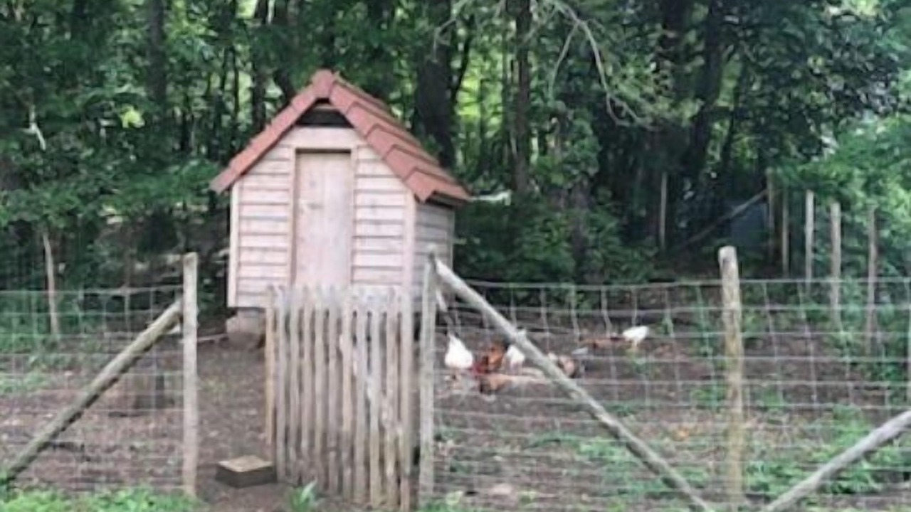 Photo of Others in Sergeac