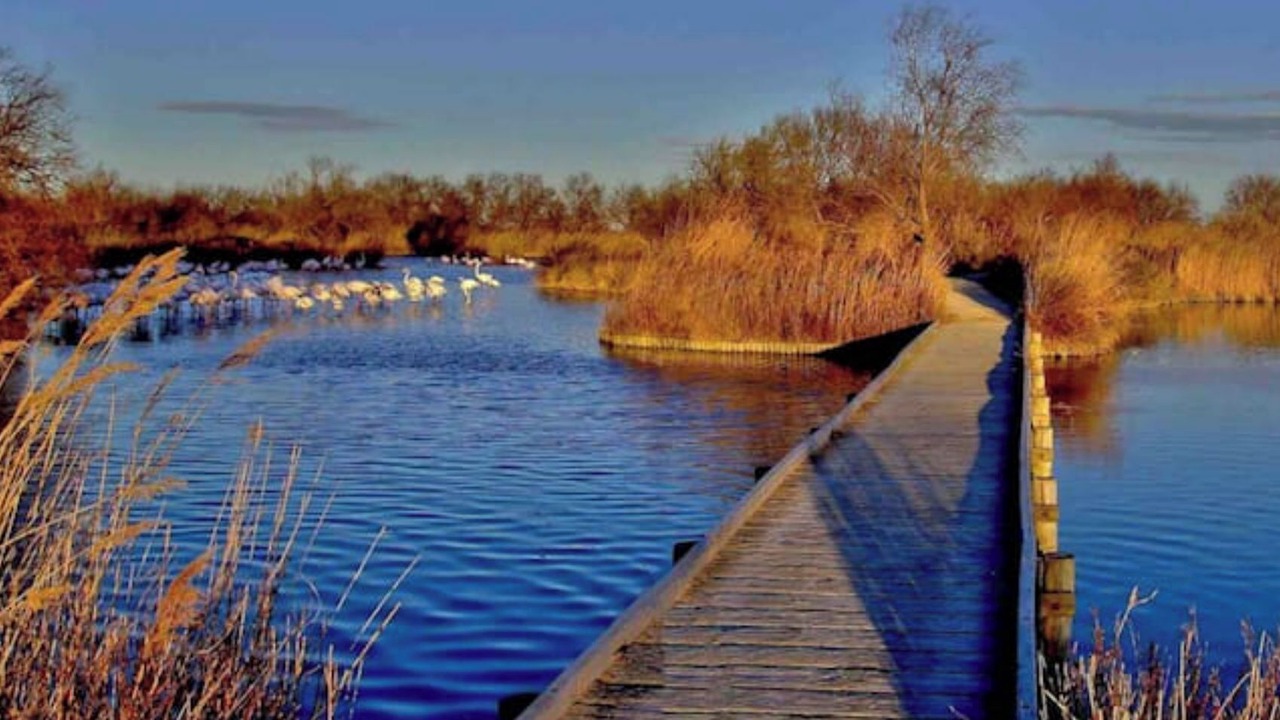 Photo of Outdoor in Saintes-Maries-de-la-Mer