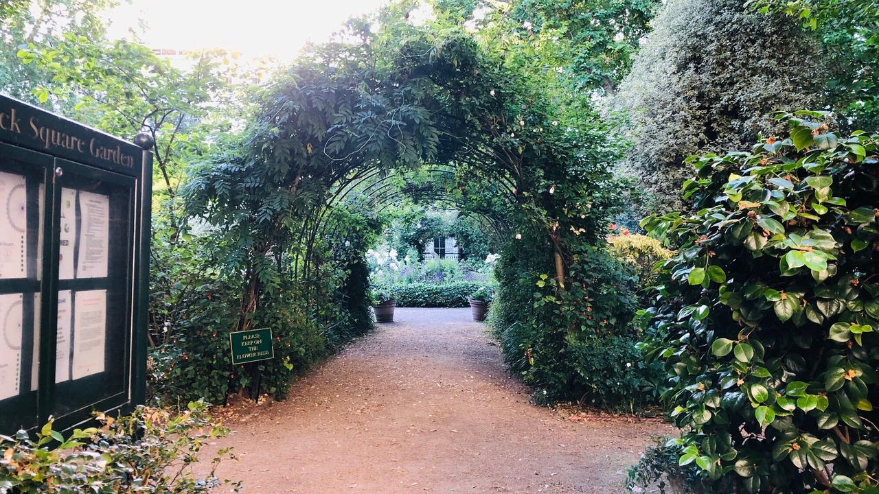 Photo of Outdoor in Pimlico