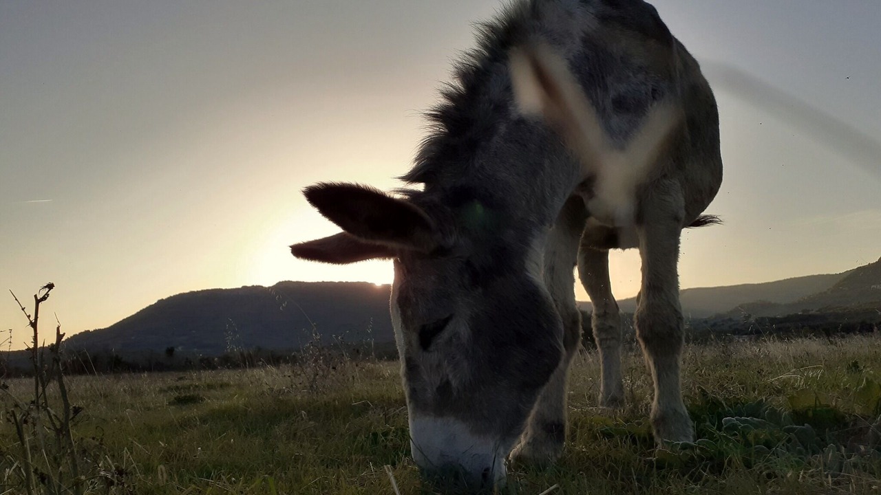 Photo of Others in Espenel