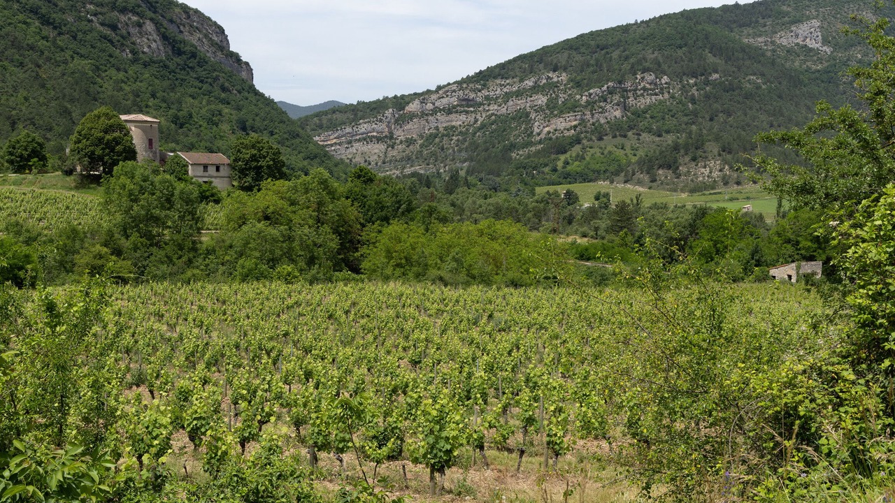 Photo of Others in Espenel