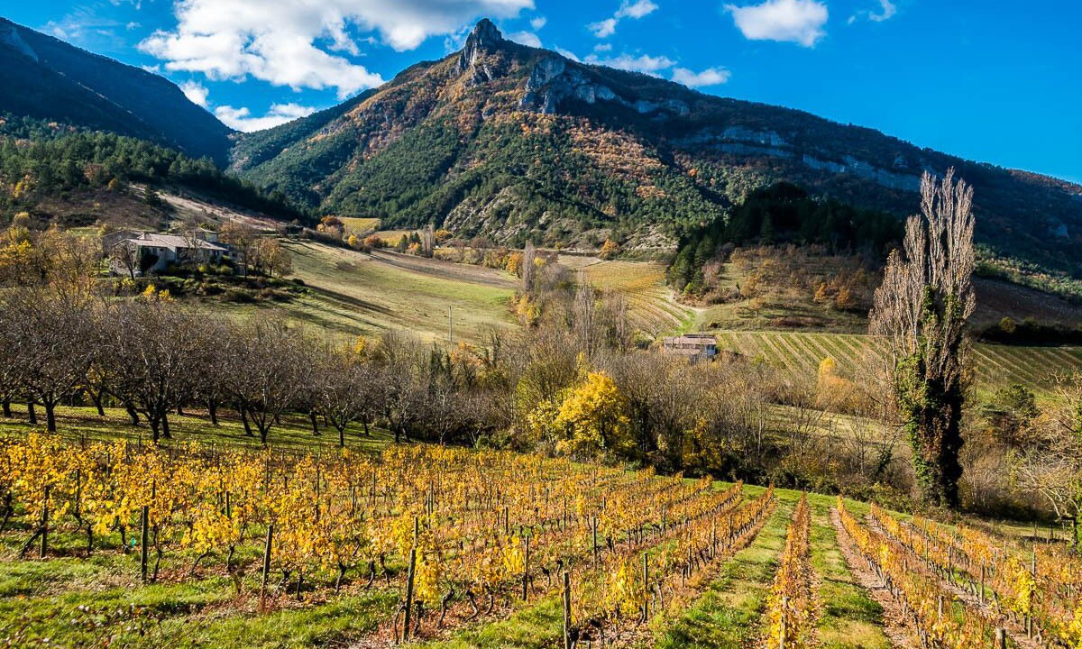 Photo of Outdoor in Espenel