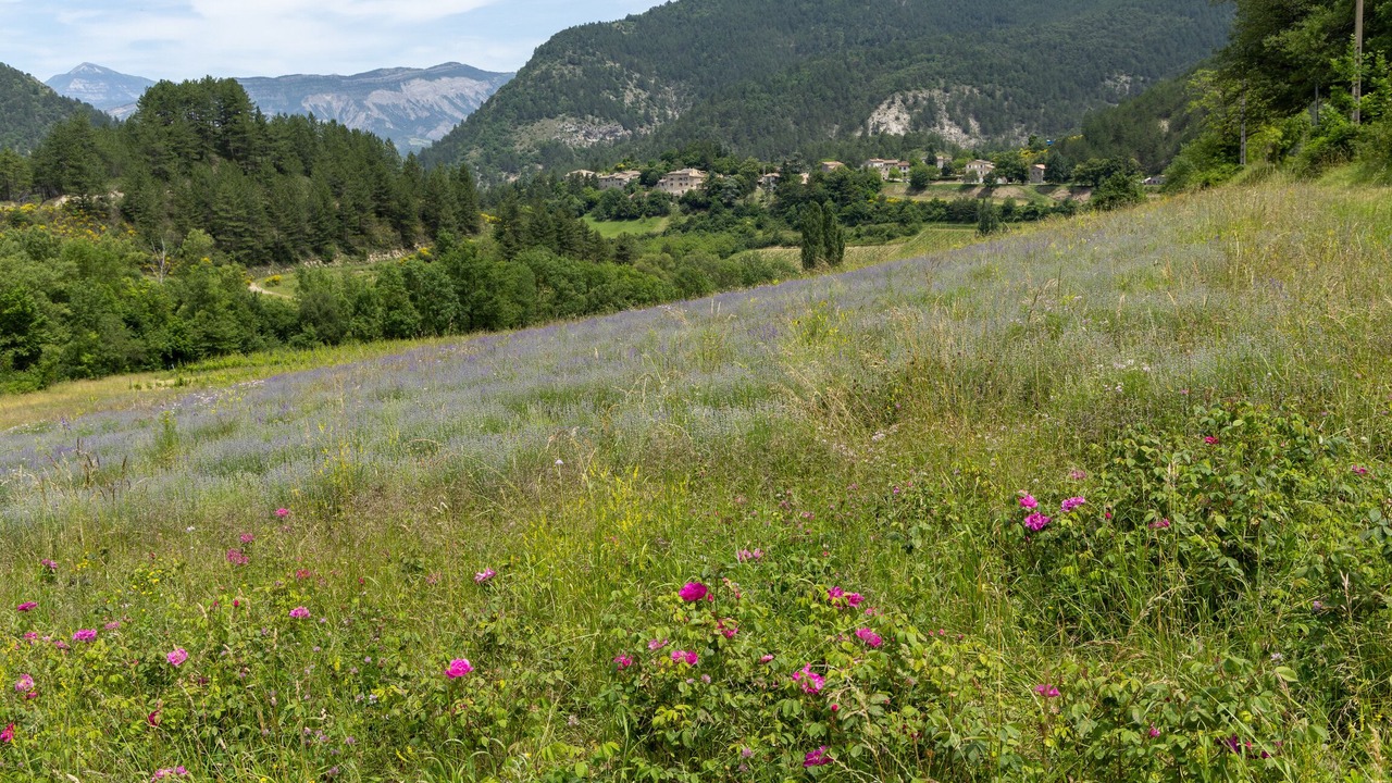 Photo of Others in Espenel