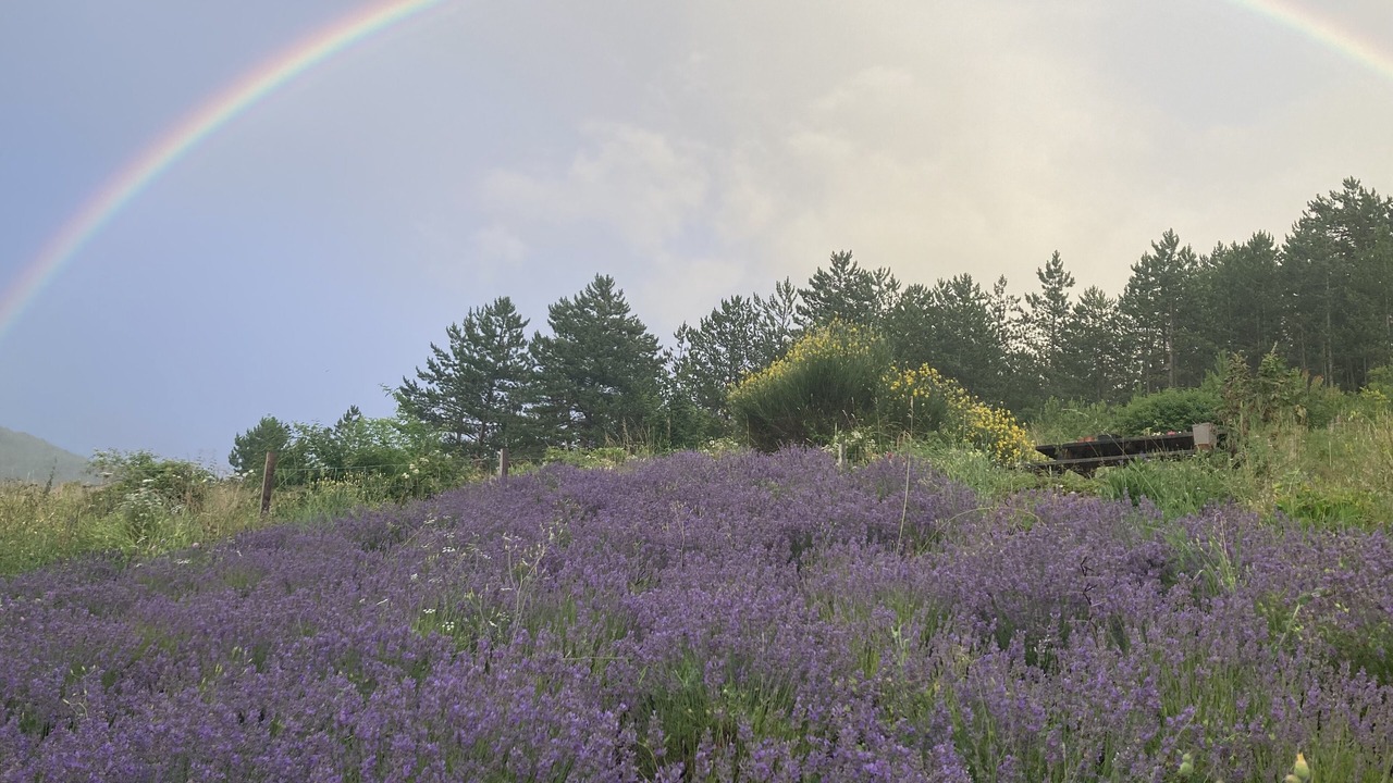 Photo of Others in Espenel