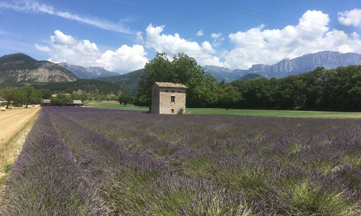 Photo of Outdoor in Espenel