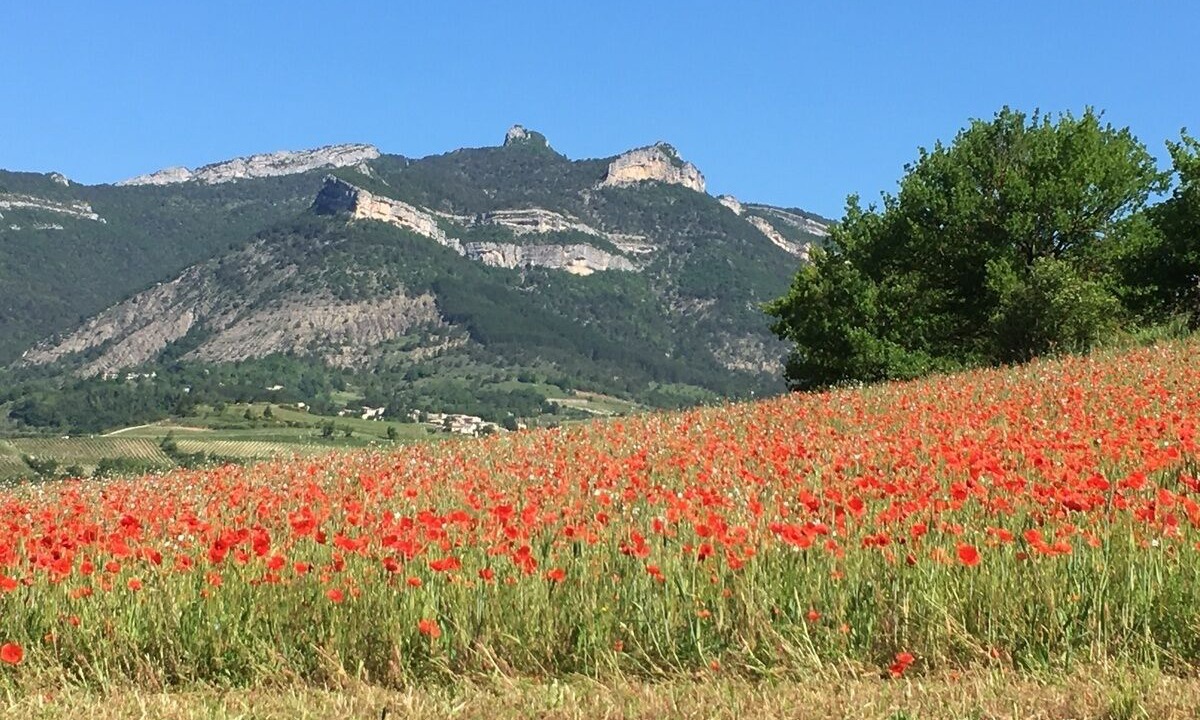 Photo of Others in Espenel