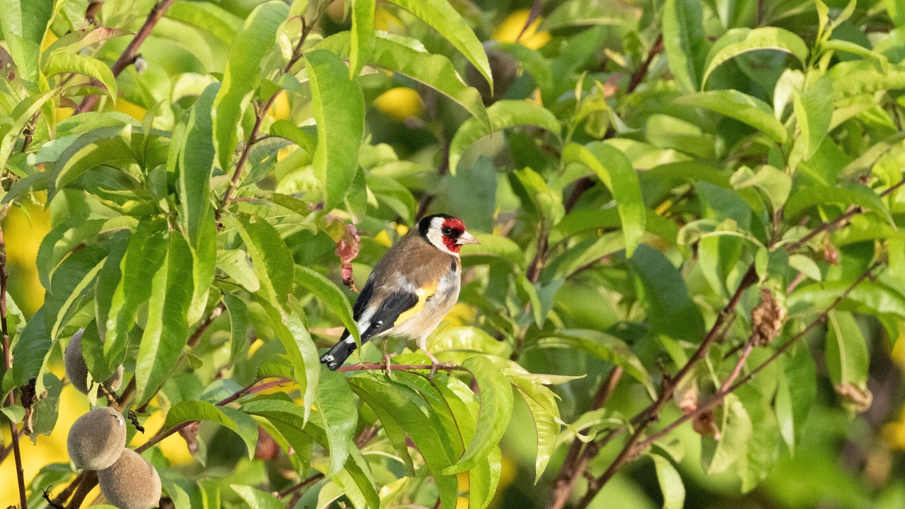 Photo of Outdoor in Espenel