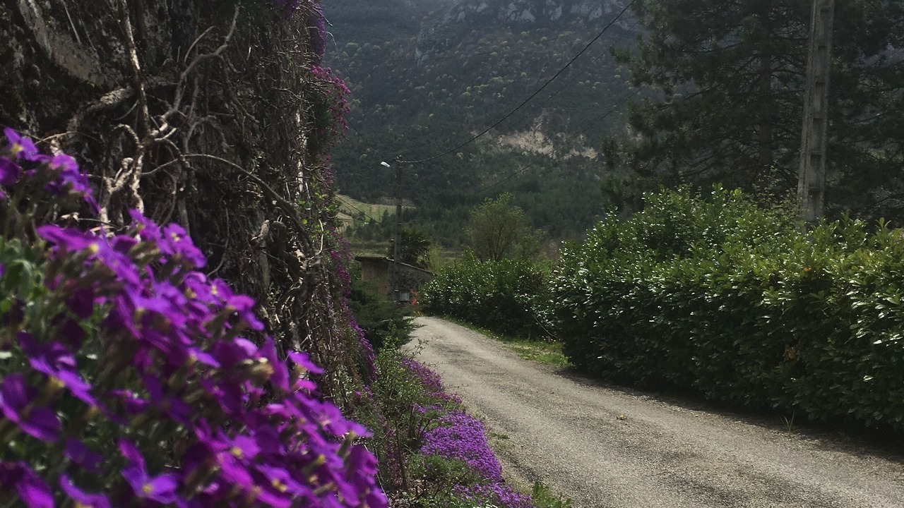 Photo of Outdoor in Espenel