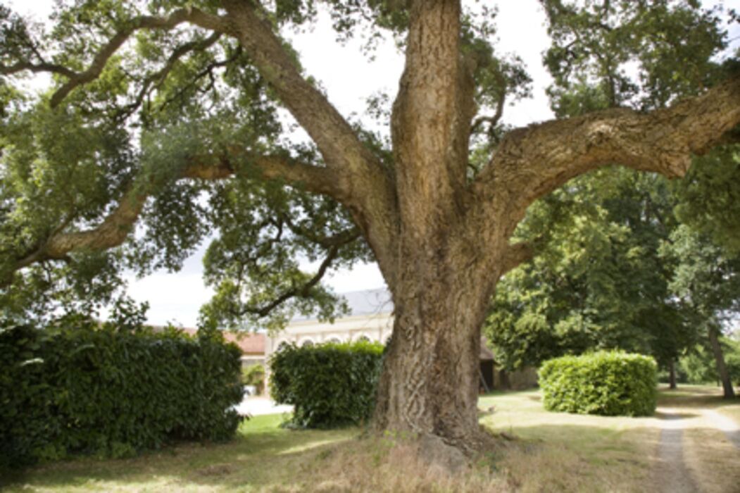 Photo of Outdoor in Roeze-sur-Sarthe