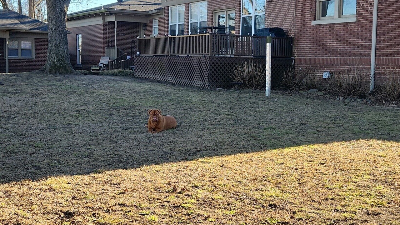Photo of Outdoor in Russellville