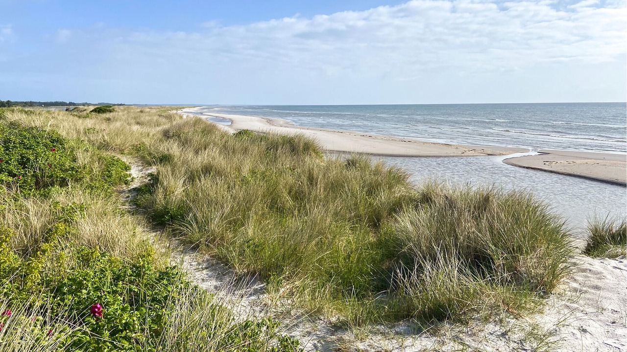 Photo of Others in Hou