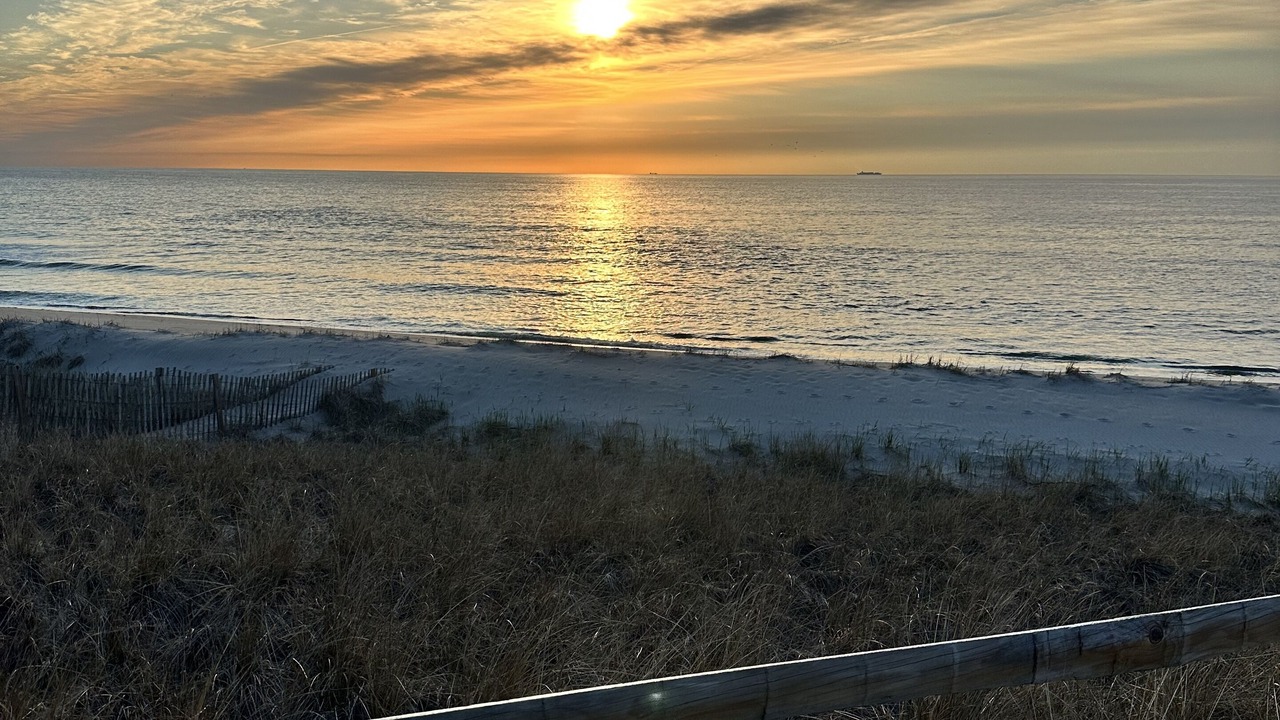 Photo of Others in Normandy Beach