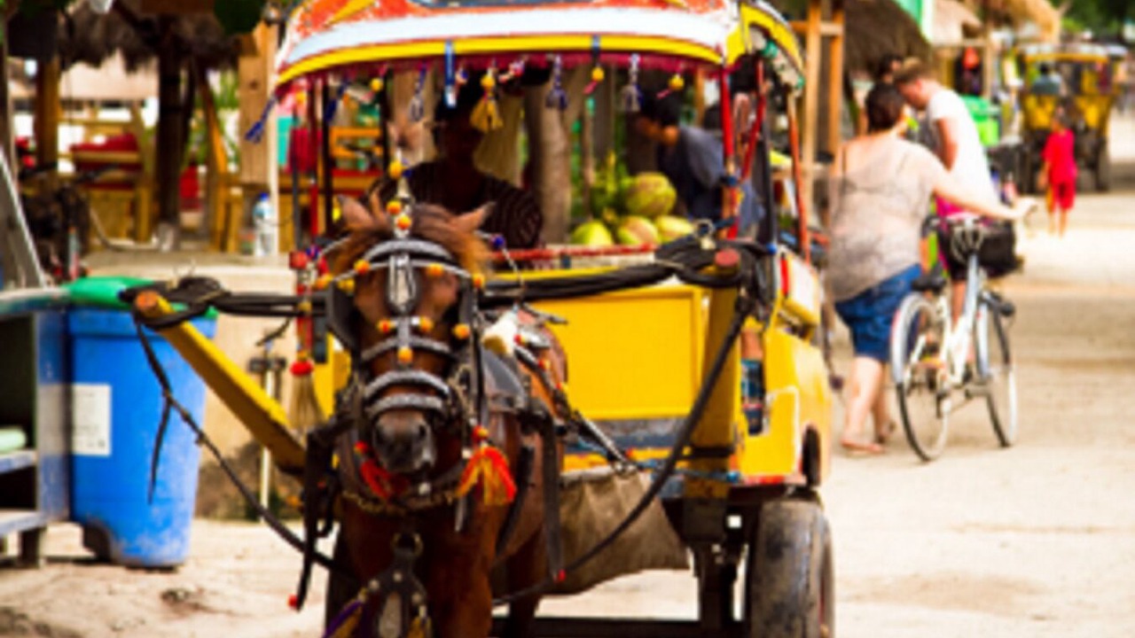 Photo of Others in Gili Air
