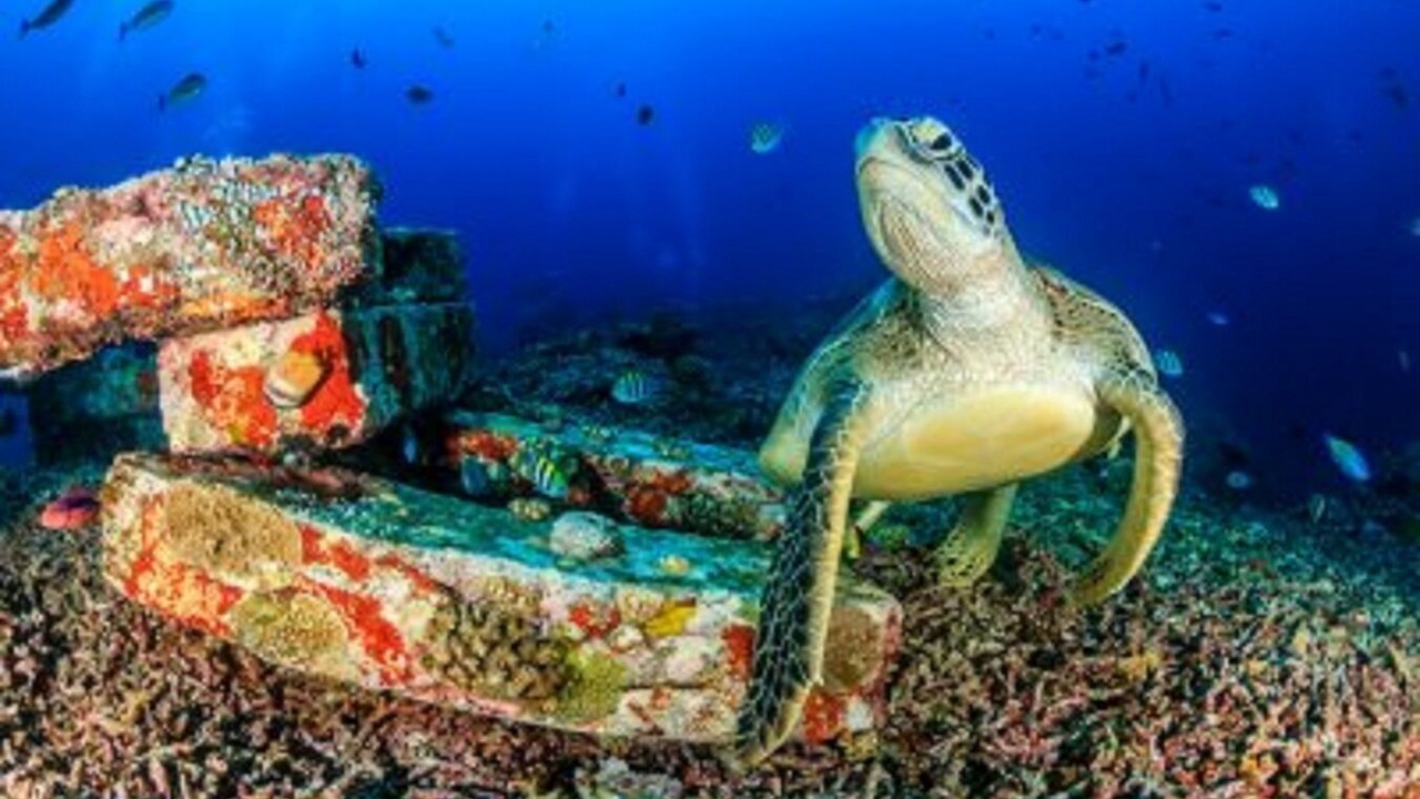 Photo of Others in Gili Air