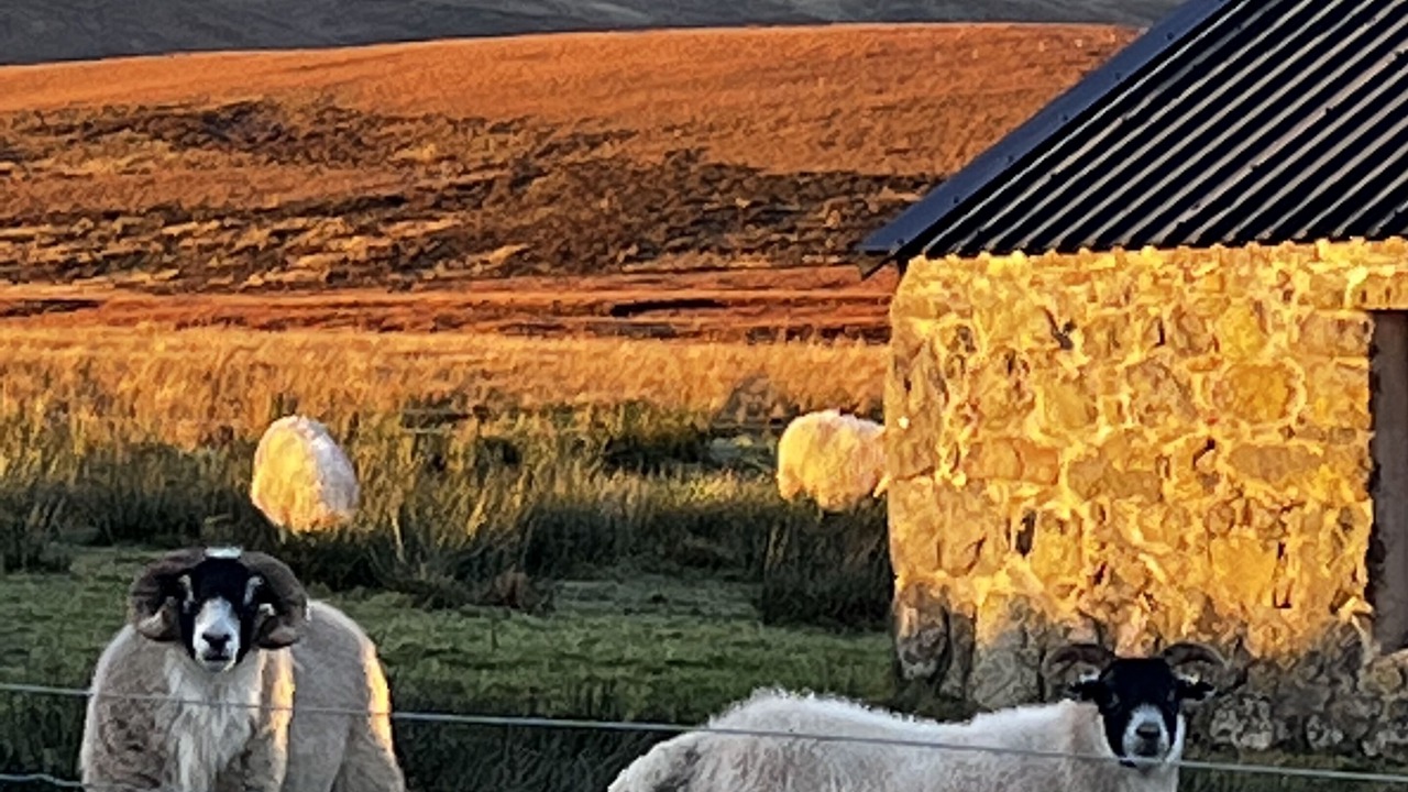 Photo of Outdoor in Staffin