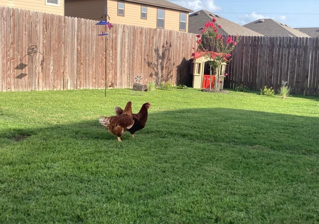 Photo of Outdoor in Manor