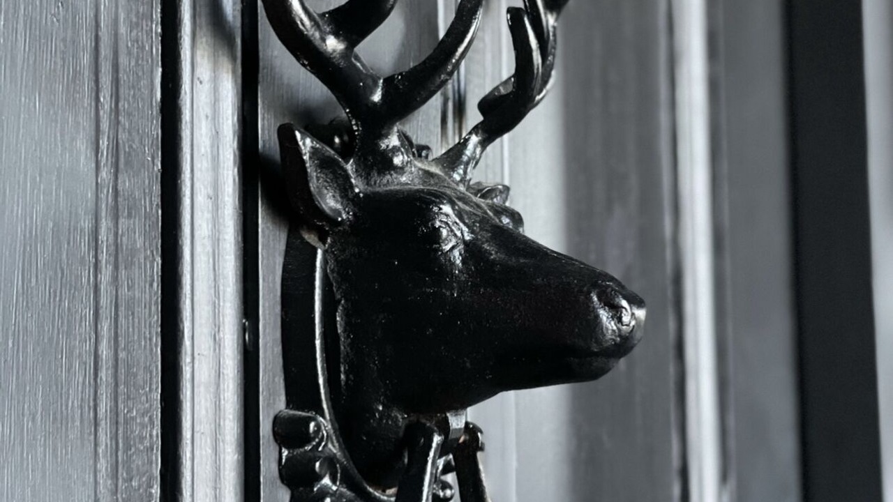 Photo of Outdoor in Oakland