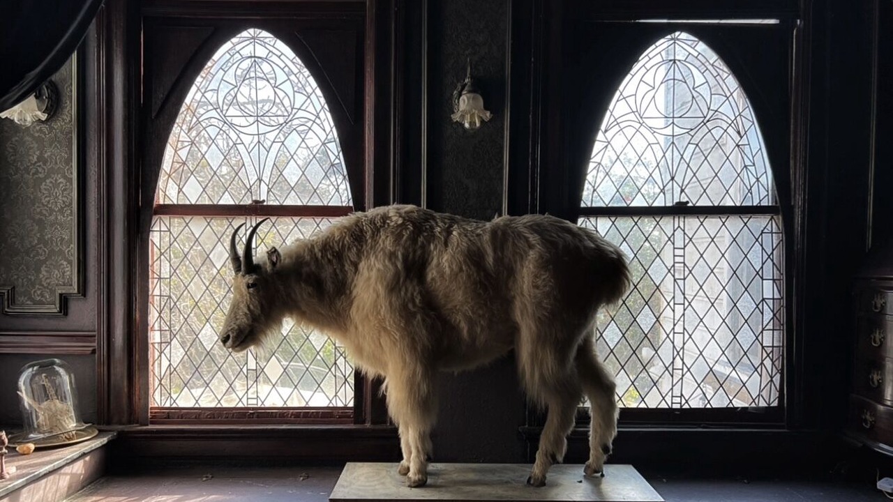 Photo of Others in Oakland