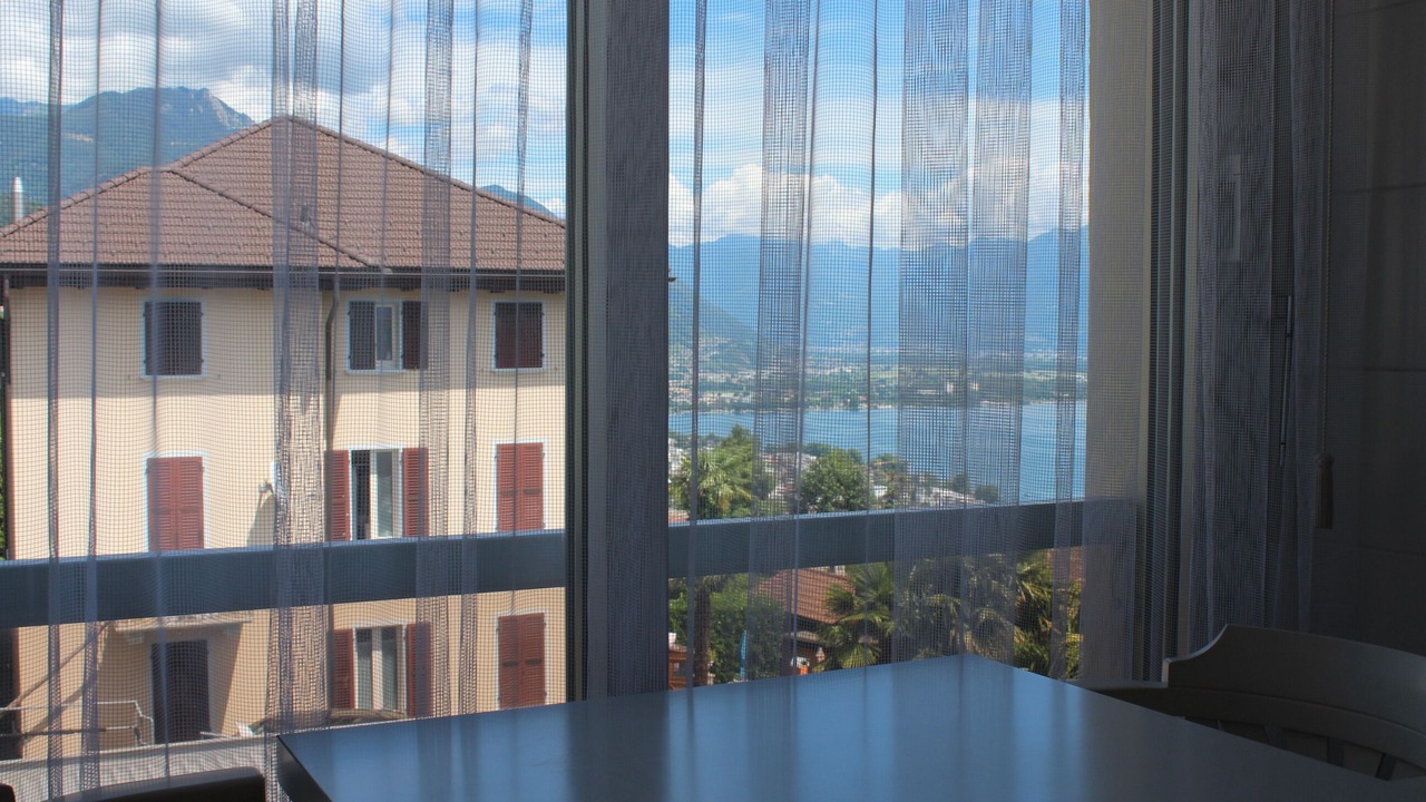 Photo of Others in Locarno