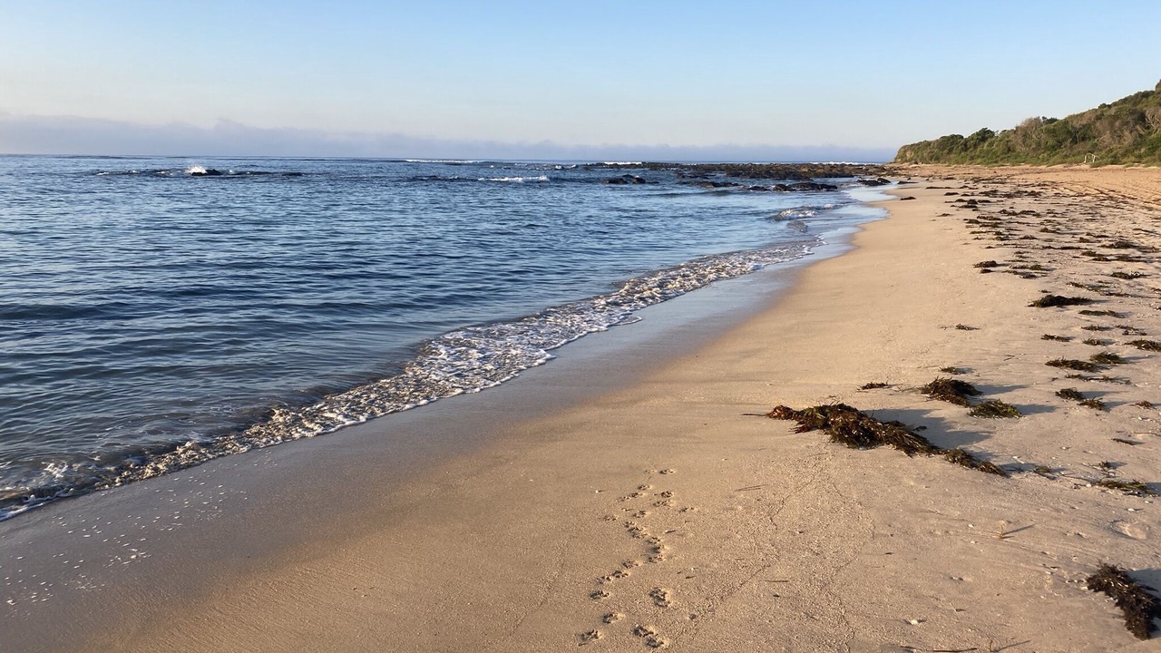 Photo of Others in Broulee