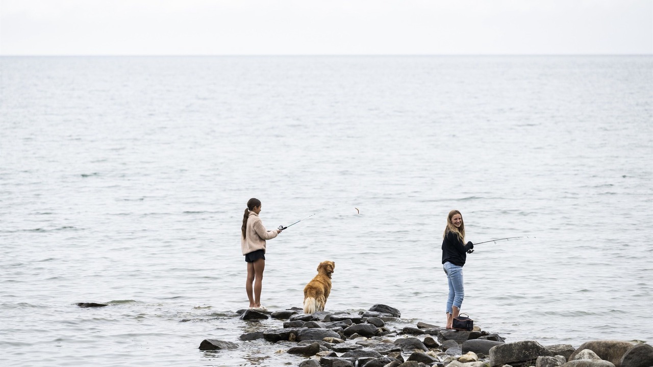 Photo of Others in Ellison Bay