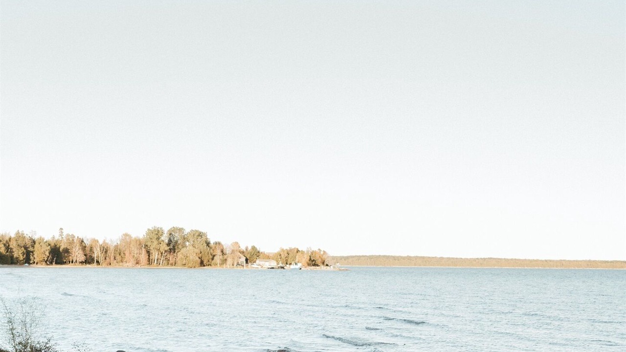 Photo of Others in Ellison Bay