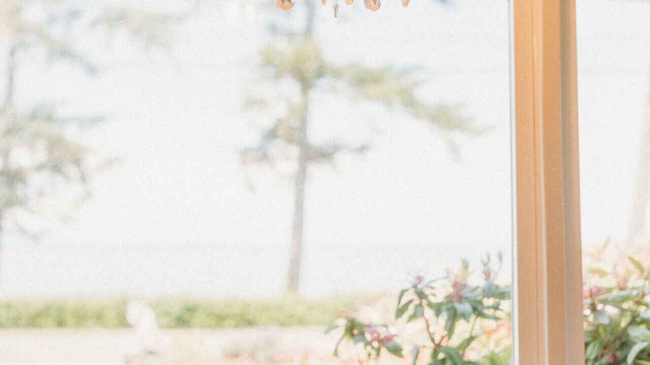 Photo of Others in Sequim