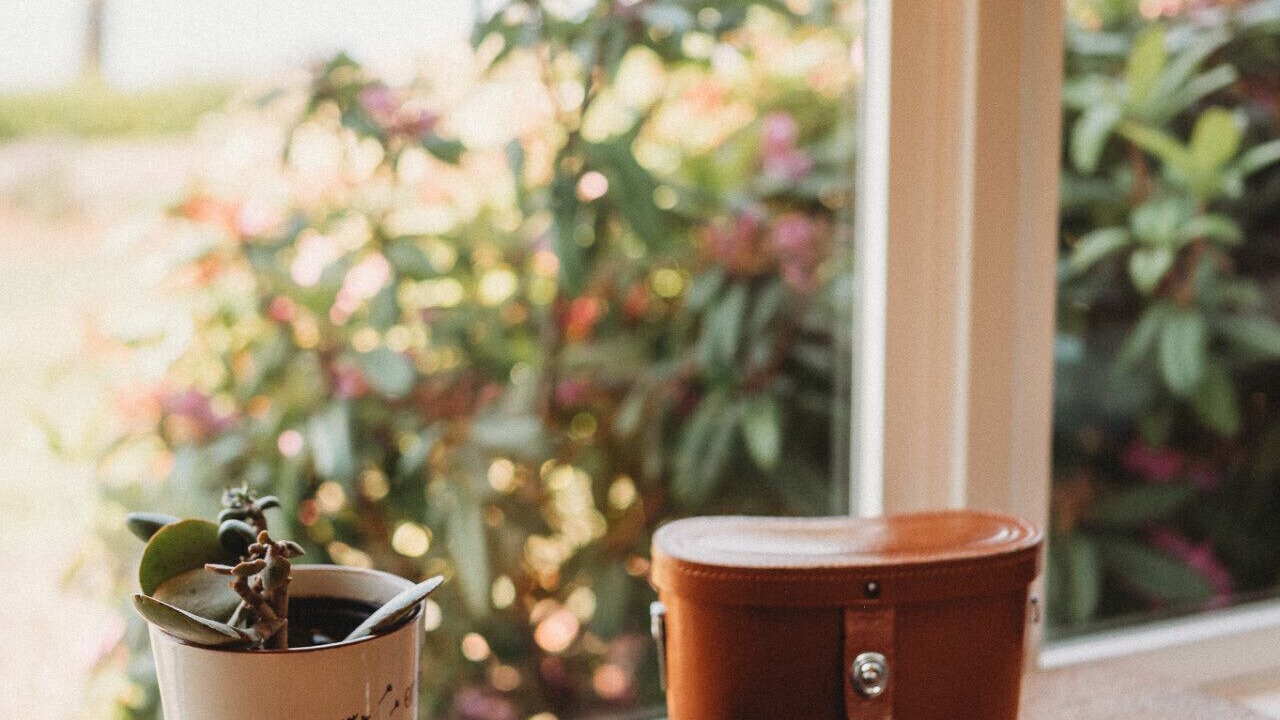 Photo of Others in Sequim