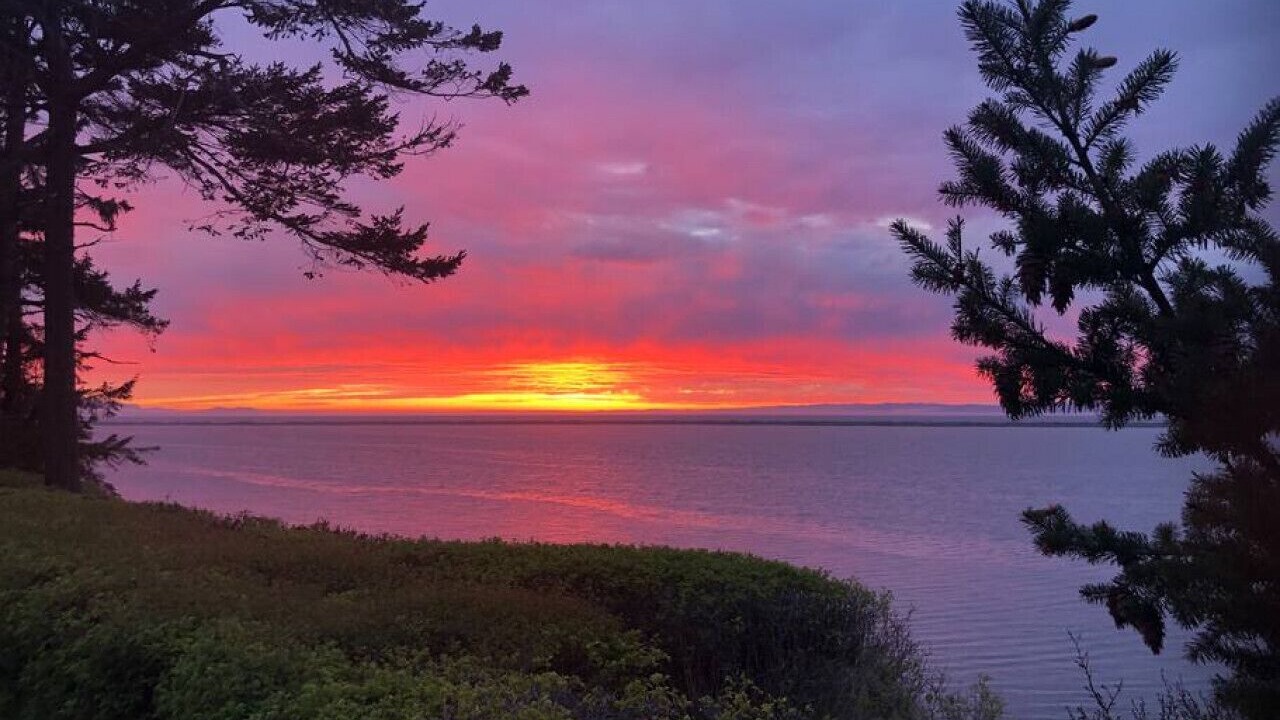 Photo of Others in Sequim