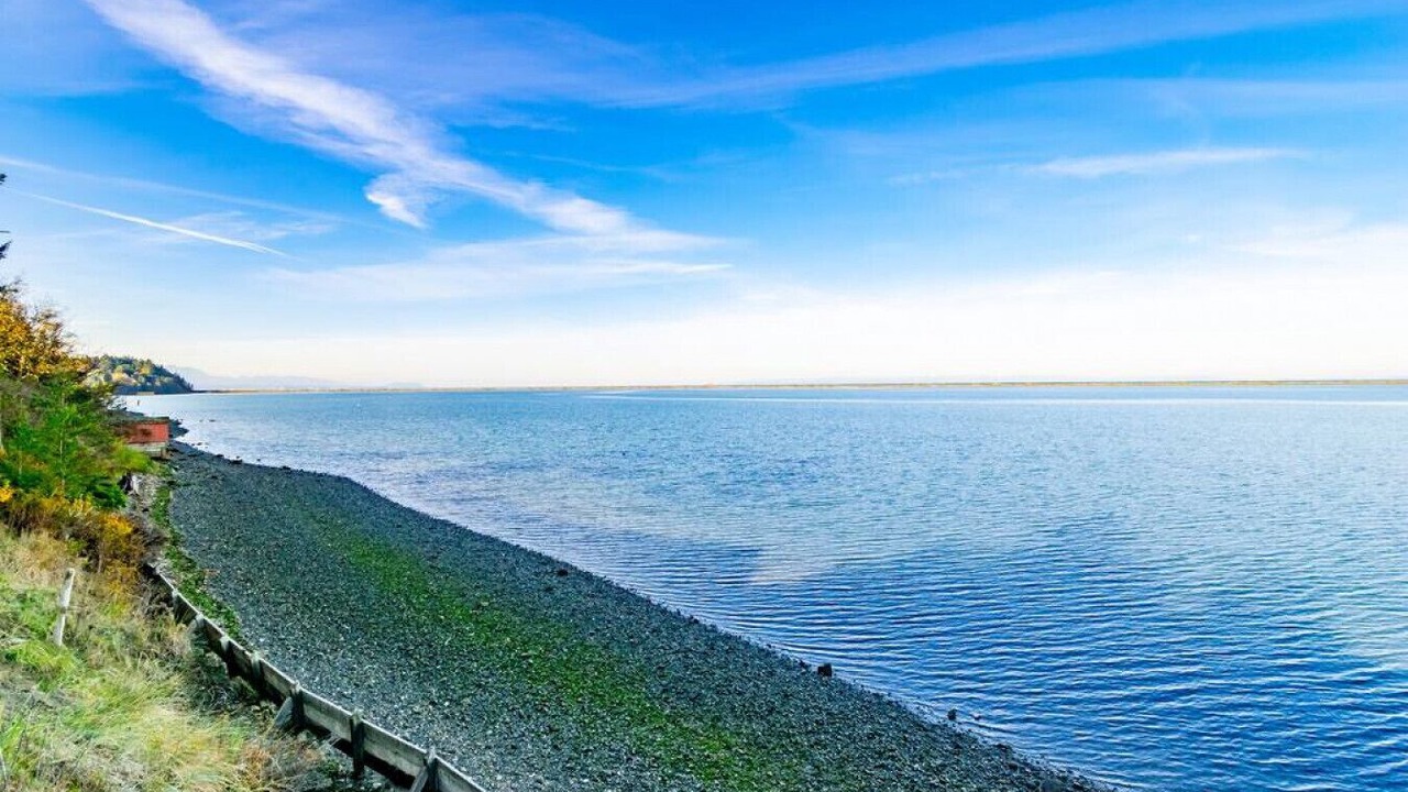 Photo of Others in Sequim