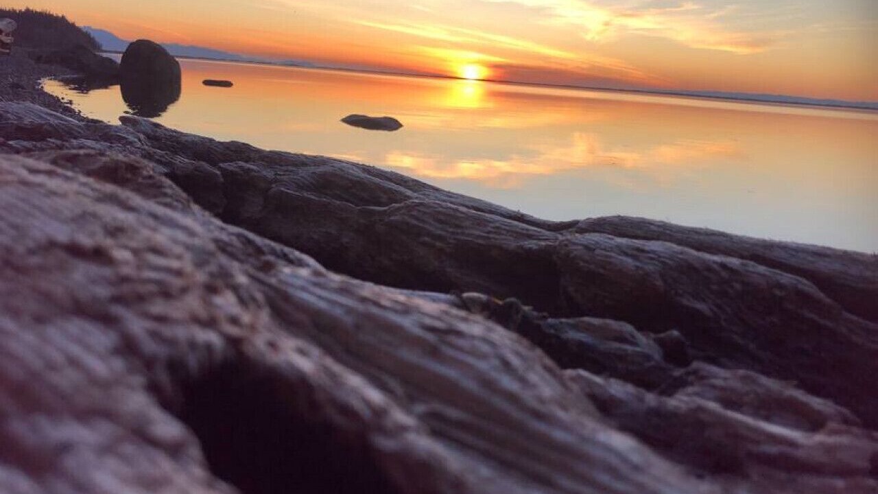 Photo of Others in Sequim