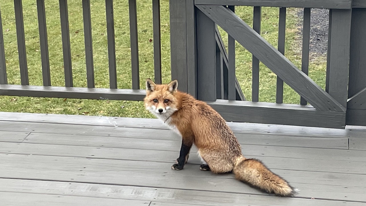 Photo of Outdoor in New Paltz