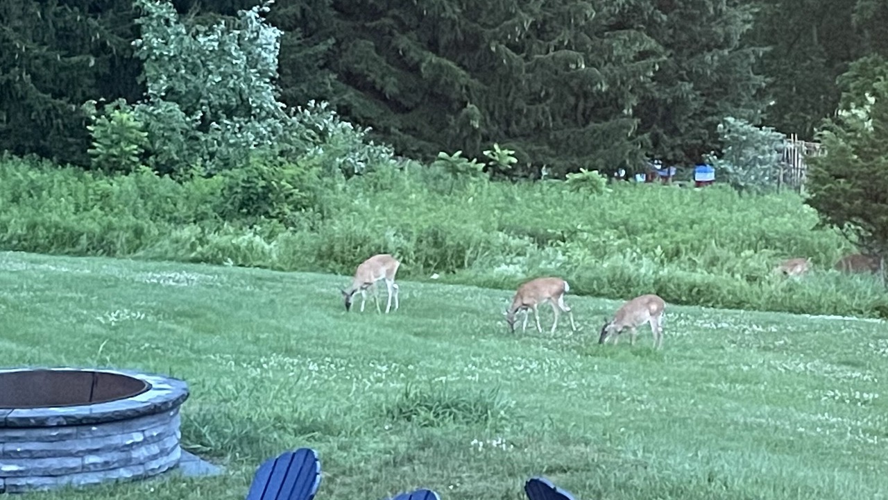 Photo of Outdoor in New Paltz