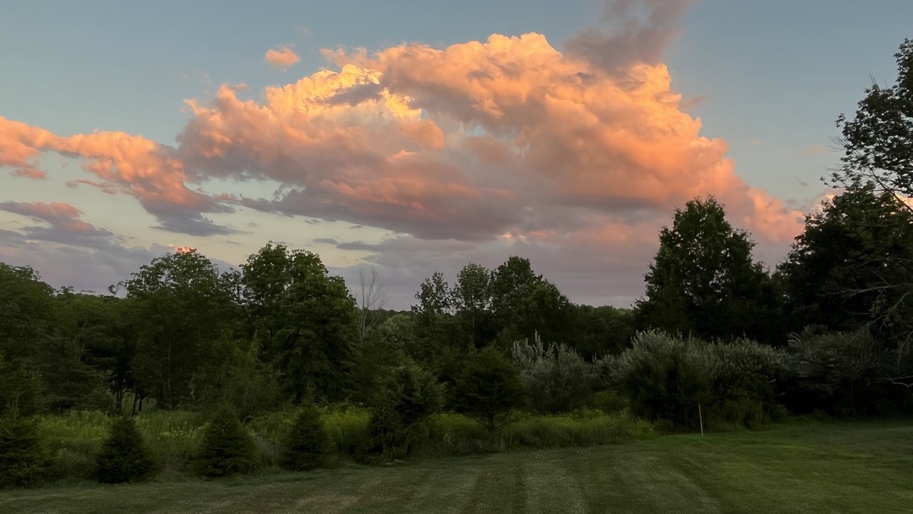 Photo of Others in New Paltz