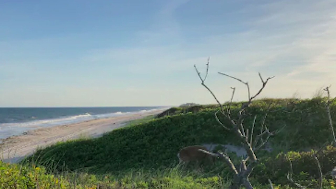 Photo of Others in Cherry Grove