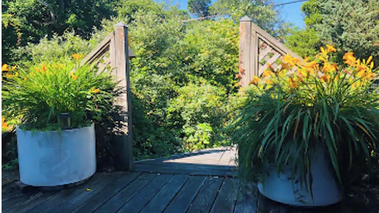 Photo of Others in Cherry Grove